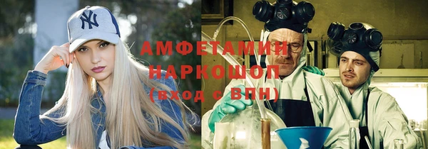 стаф Алзамай