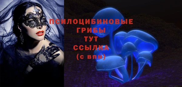 ECSTASY Алексеевка